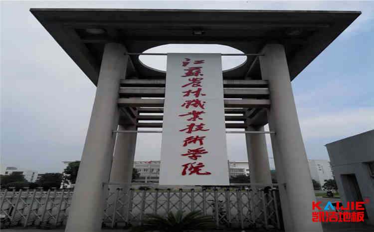 國產(chǎn)楓木運(yùn)動地板